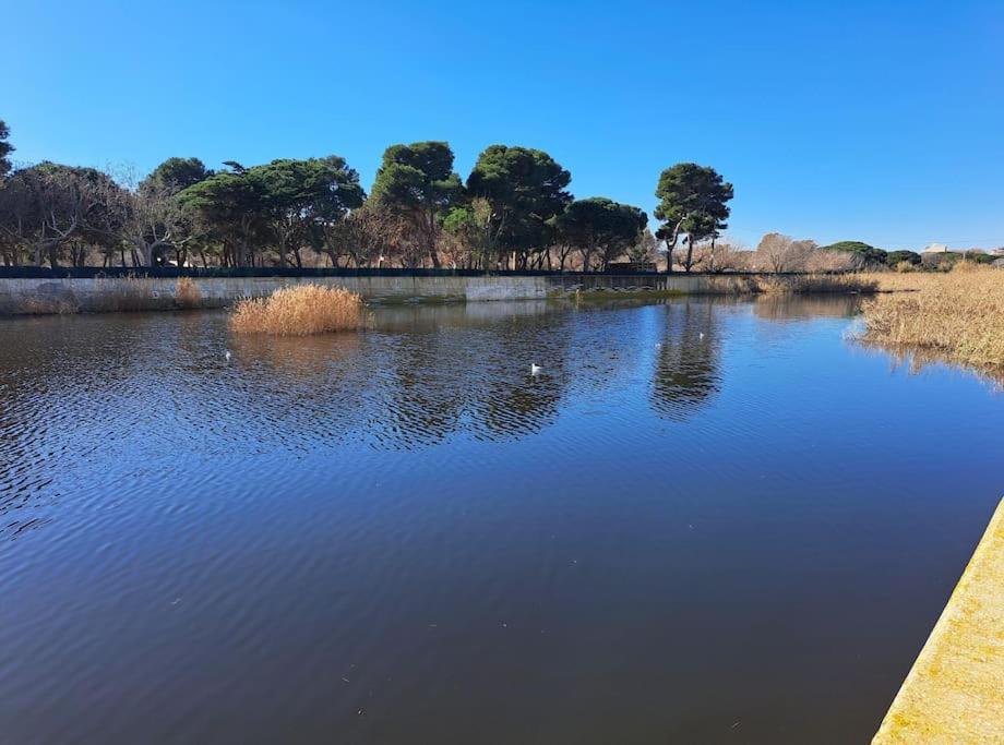 Apartamento A 50 Metros De La Playa. Platja d'Aro Eksteriør billede